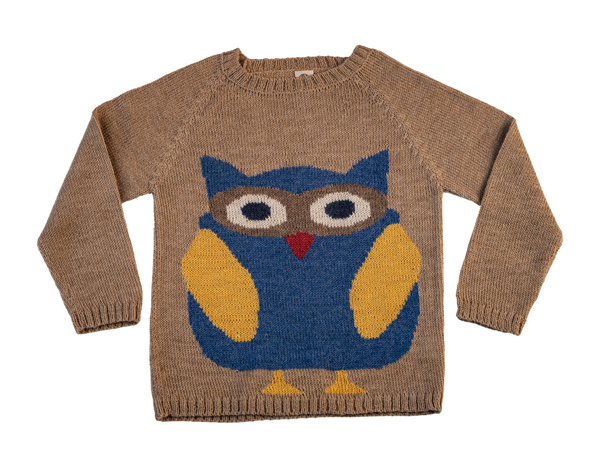 NW602 INDIGO OWL SWEATER