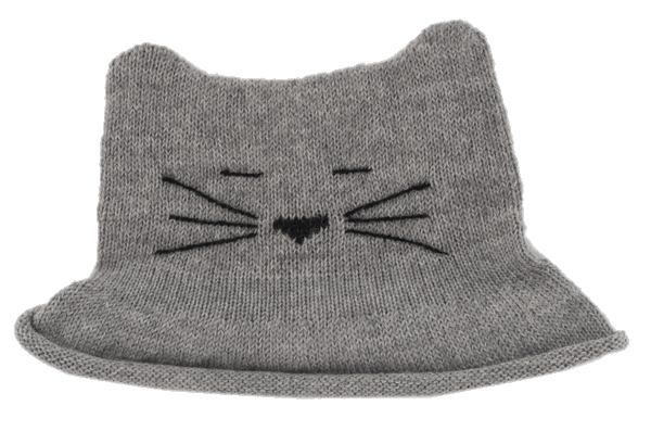 Z NW401 Grey Cat Hat