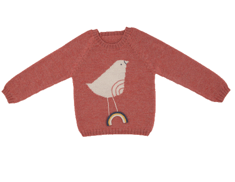 NW412 Pink Bird Sweater