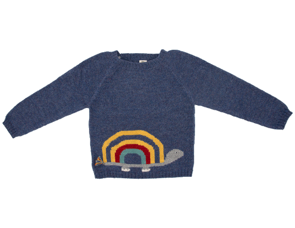 NW419 Turtle Sweater in Blue